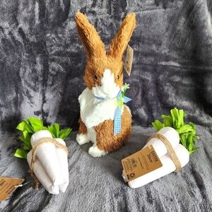 NWT EASTER bunny and carrots home decor bundle